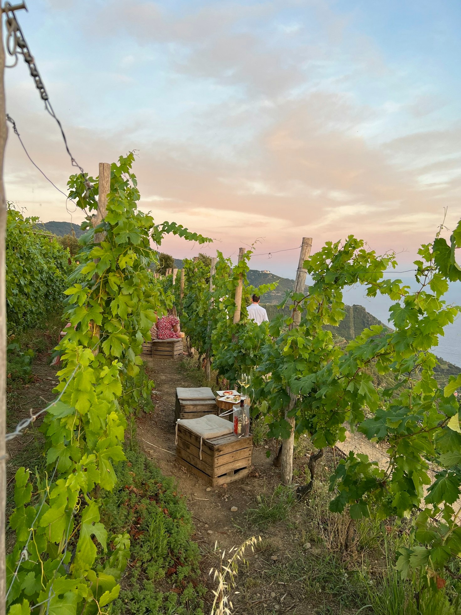 Le eccellenze enogastronomiche di Val Curone