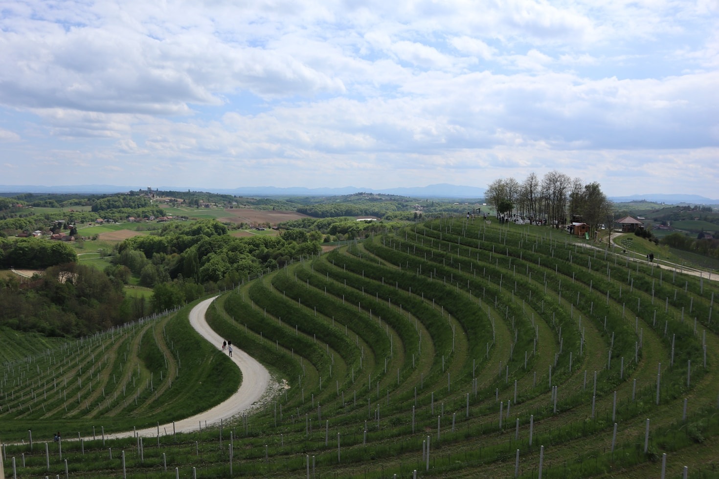 Consigli pratici per escursioni tra le vigne